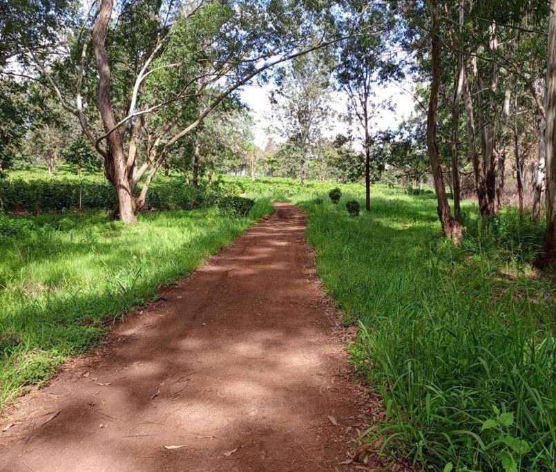 WhatsApp Image 2025-11-21 at 22.37.44 - Copy (2)