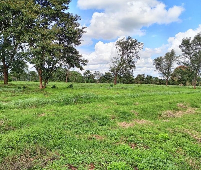 WhatsApp Image 2025-11-21 at 22.37.47 - Copy (2)