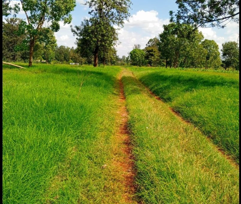 WhatsApp Image 2025-11-21 at 22.37.48 - Copy (2)